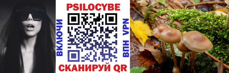 Галлюциногенные грибы Cubensis  Бузулук 