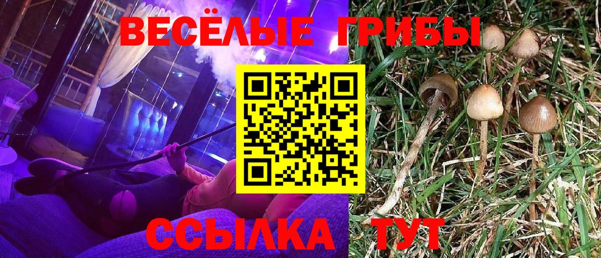 Бузулук  Галлюциногенные грибы Magic Shrooms  Вход с VPN 